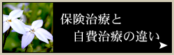 保険治療と自費治療の違い